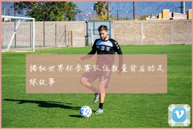 揭秘世界杯参赛队伍数量背后的足球故事