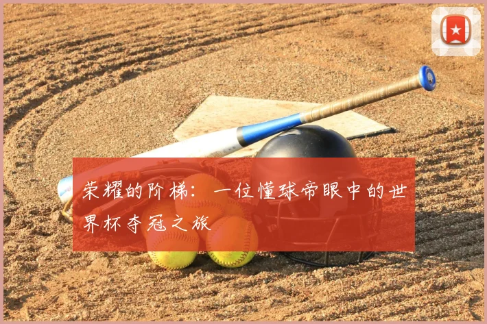 荣耀的阶梯：一位懂球帝眼中的世界杯夺冠之旅