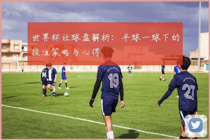 世界杯让球盘解析：半球一球下的投注策略与心得