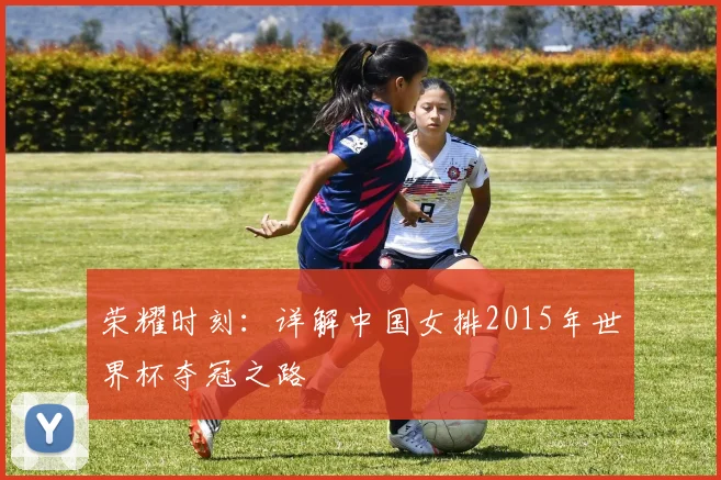 荣耀时刻：详解中国女排2015年世界杯夺冠之路